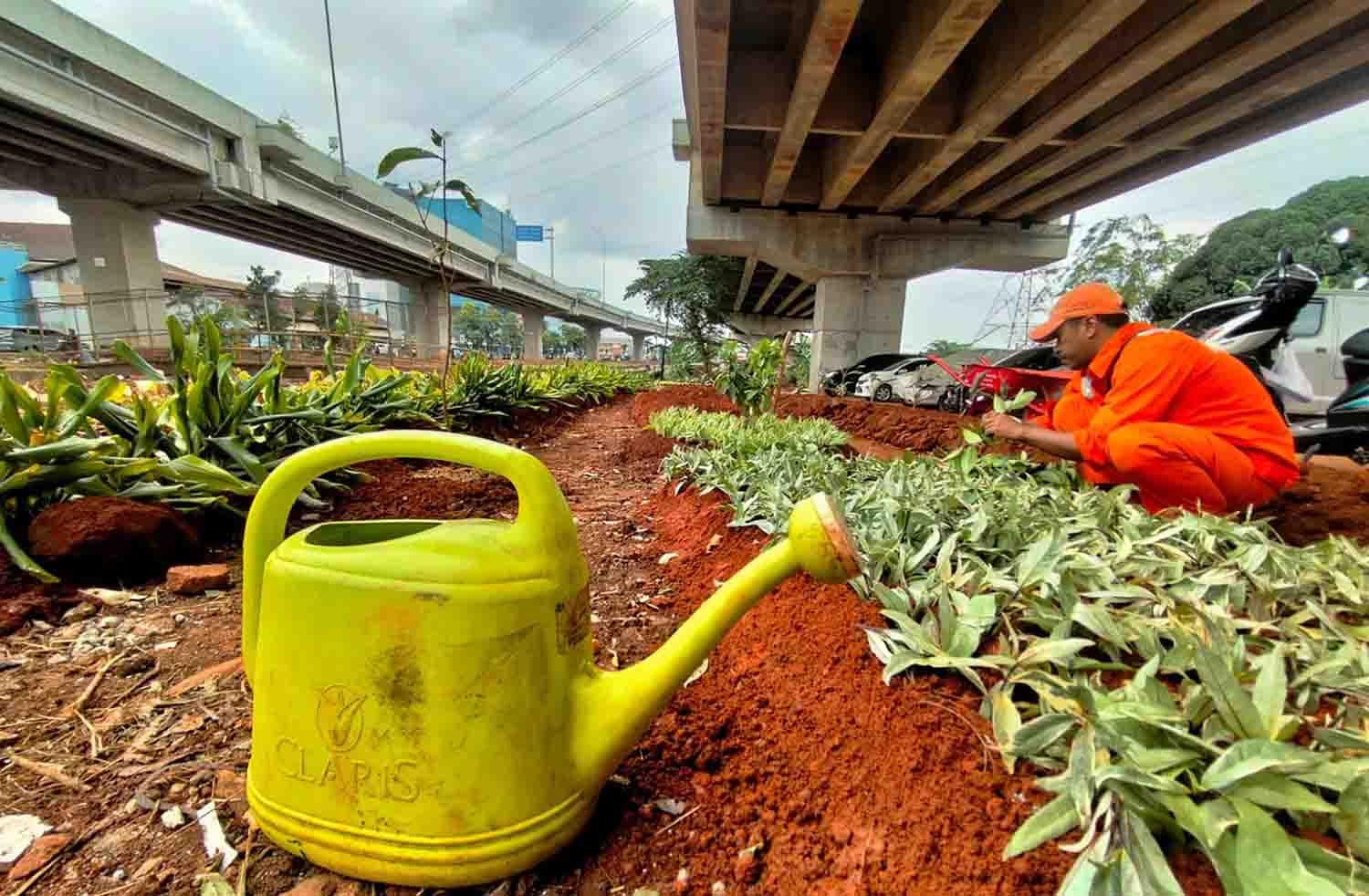 Penghijauan di Kolong Tol Becakayu