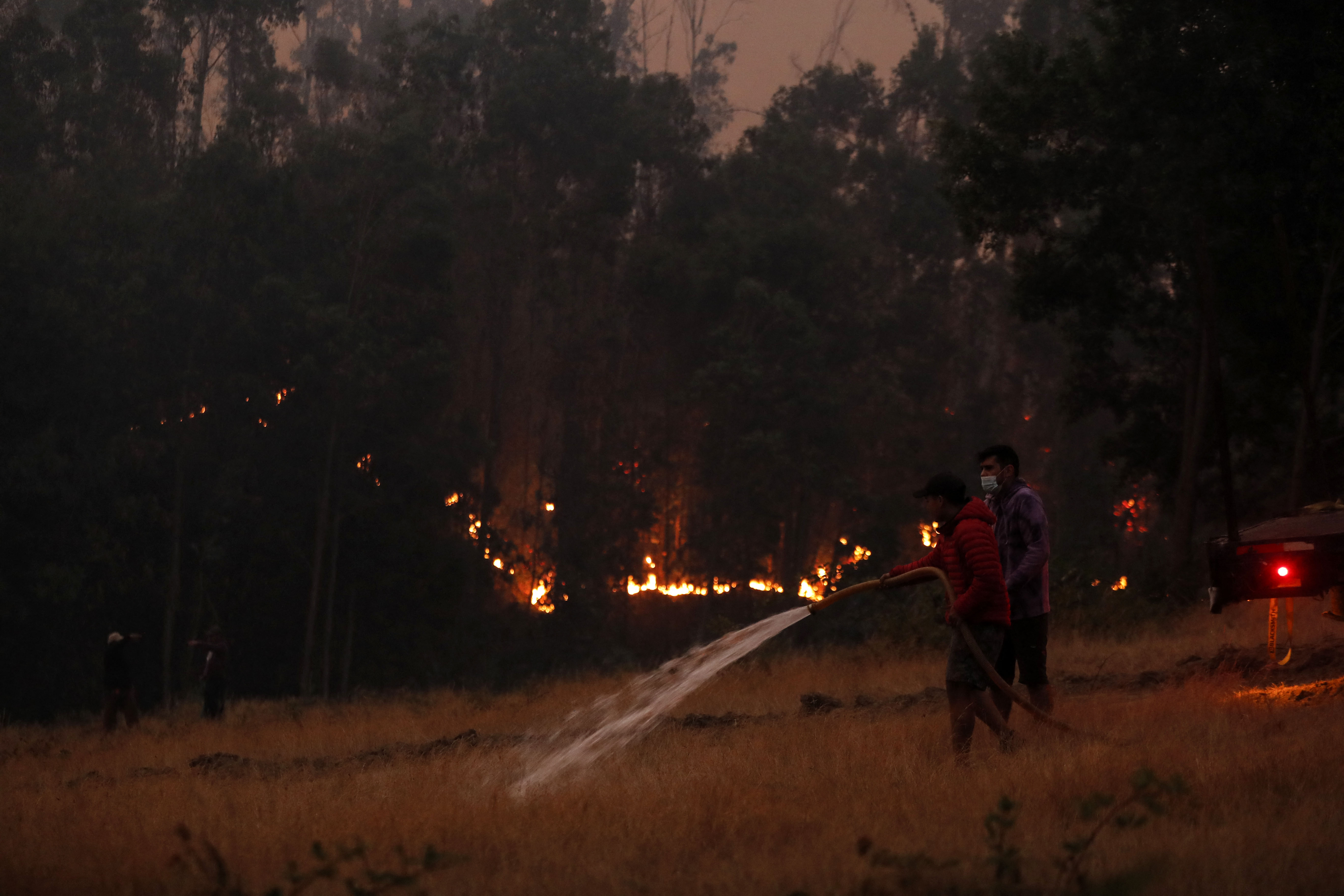 Kebakaran Hutan di Chile Menewaskan 22 Orang