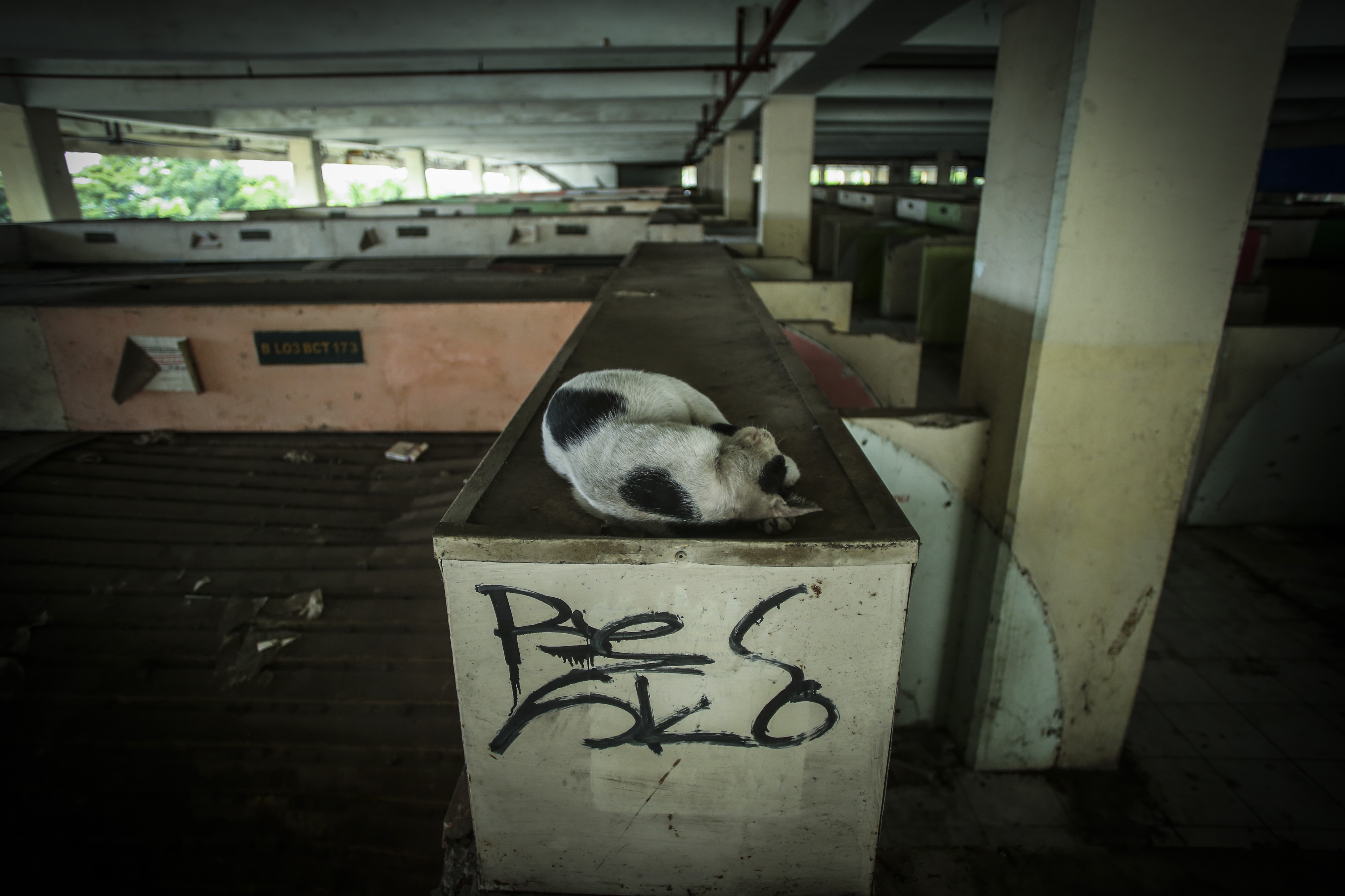 Kondisi Pasar Tanah Abang Blok G Memprihatinkan