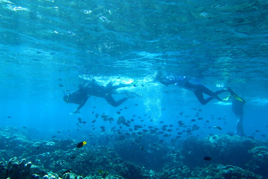 Destinasi Wisata Taman Laut Olele