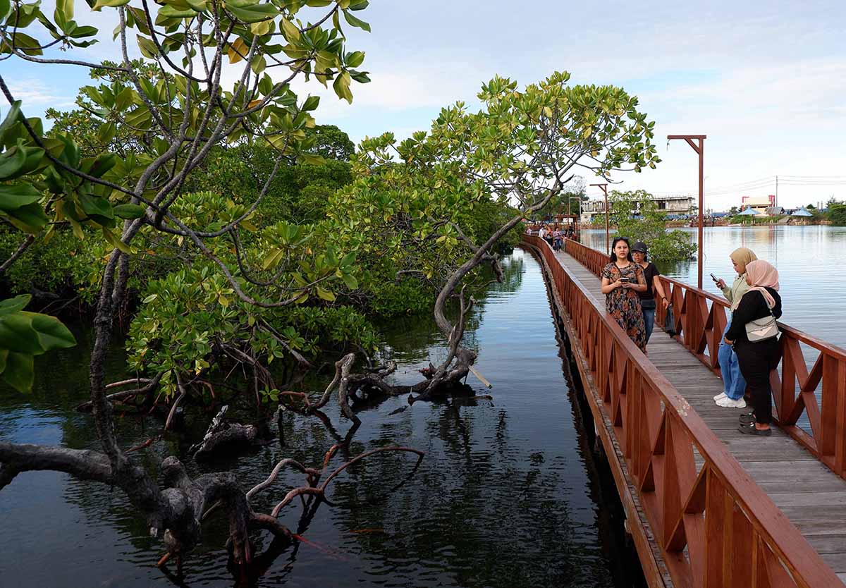 Ekowisata Mangrove Kampung Tobati