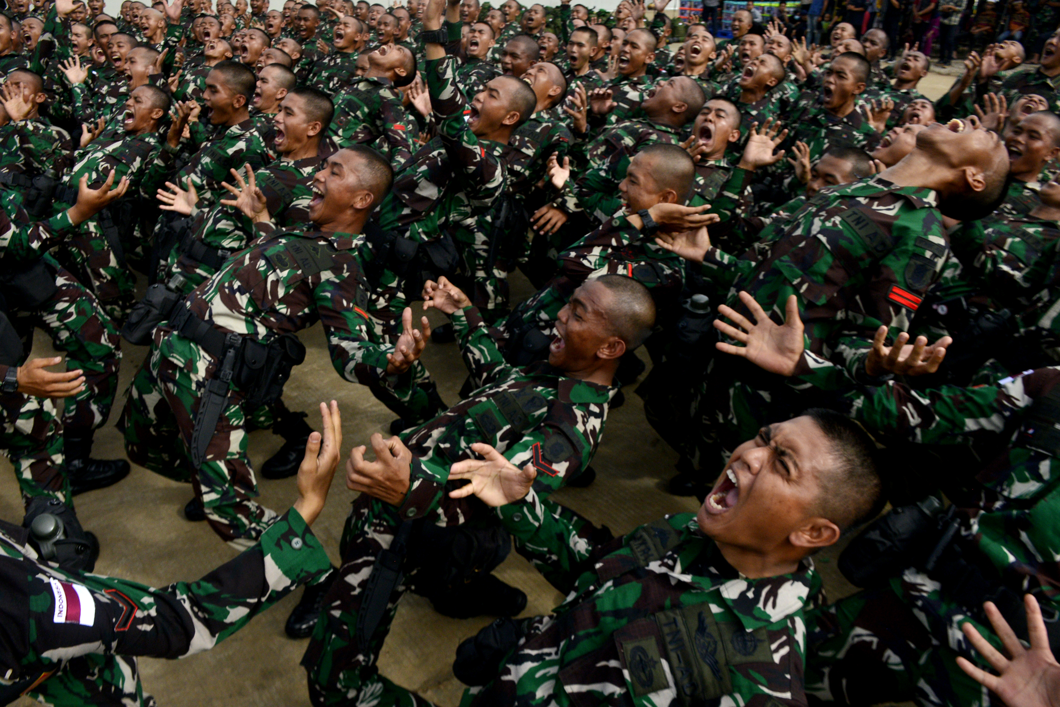 Pengiriman Pasukan TNI ke Papua dan Papua Barat