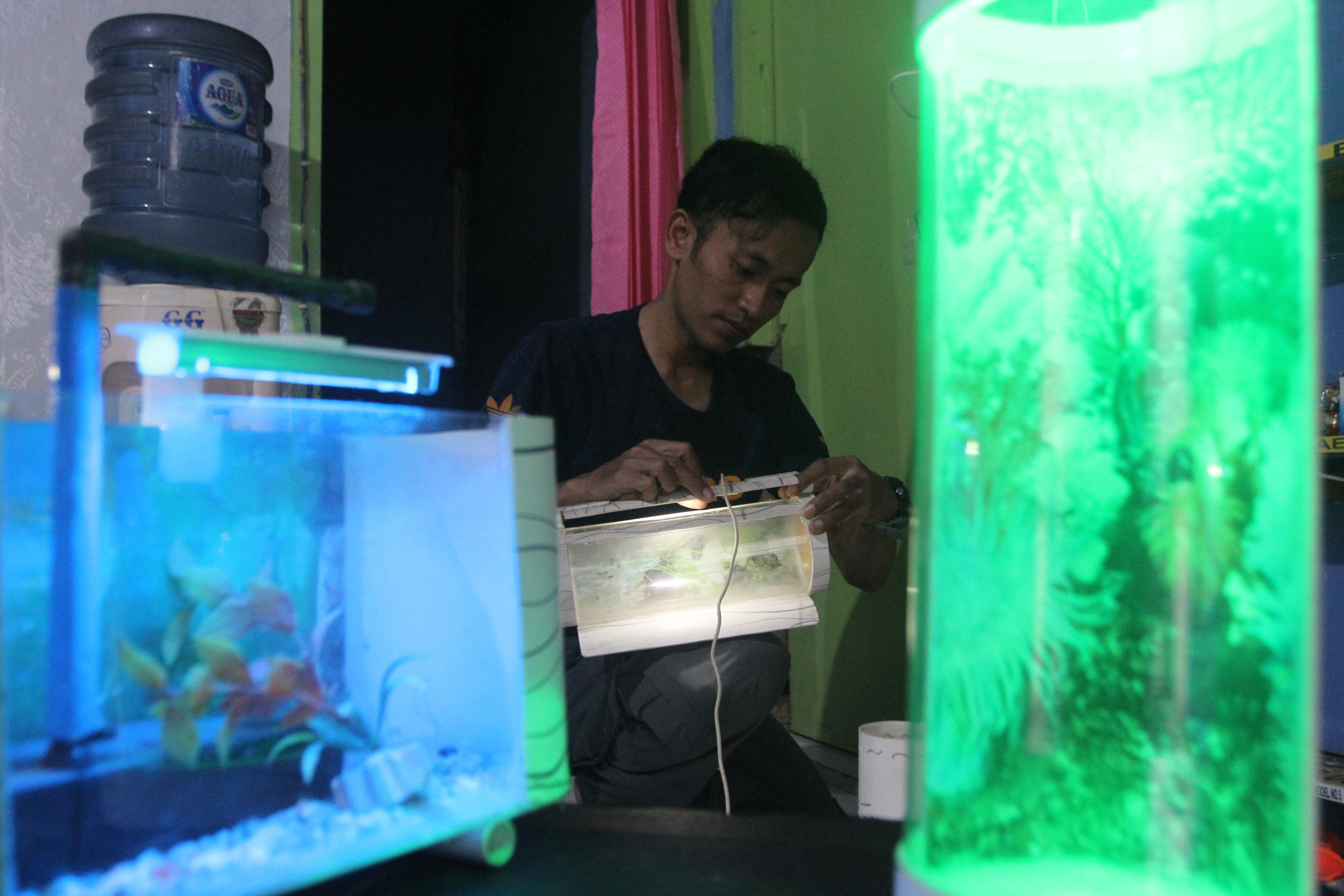 Aquarium Mini dari Pipa