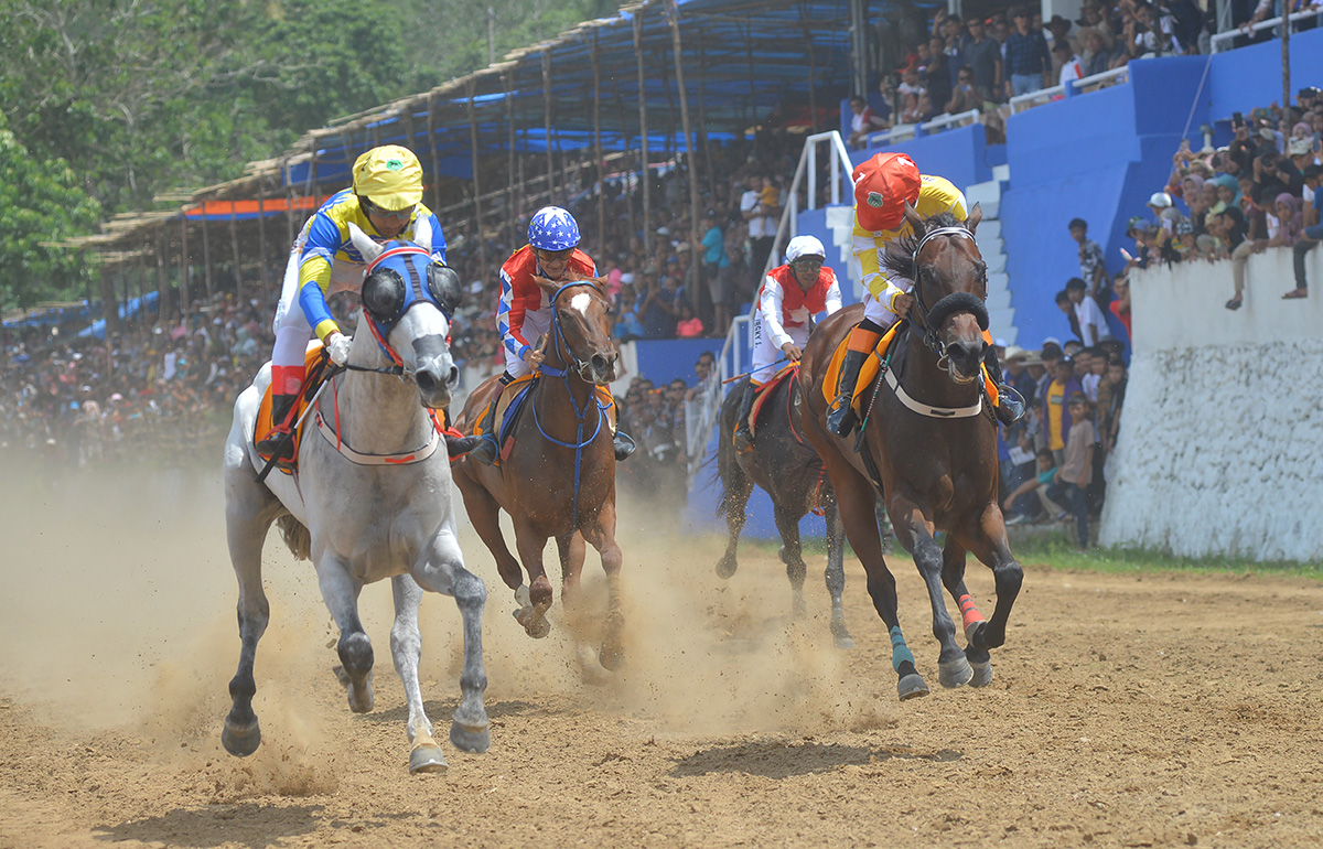 Pacu Kuda Tanah Datar