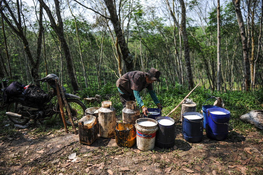 Capaian Produksi Karet Di Indonesia