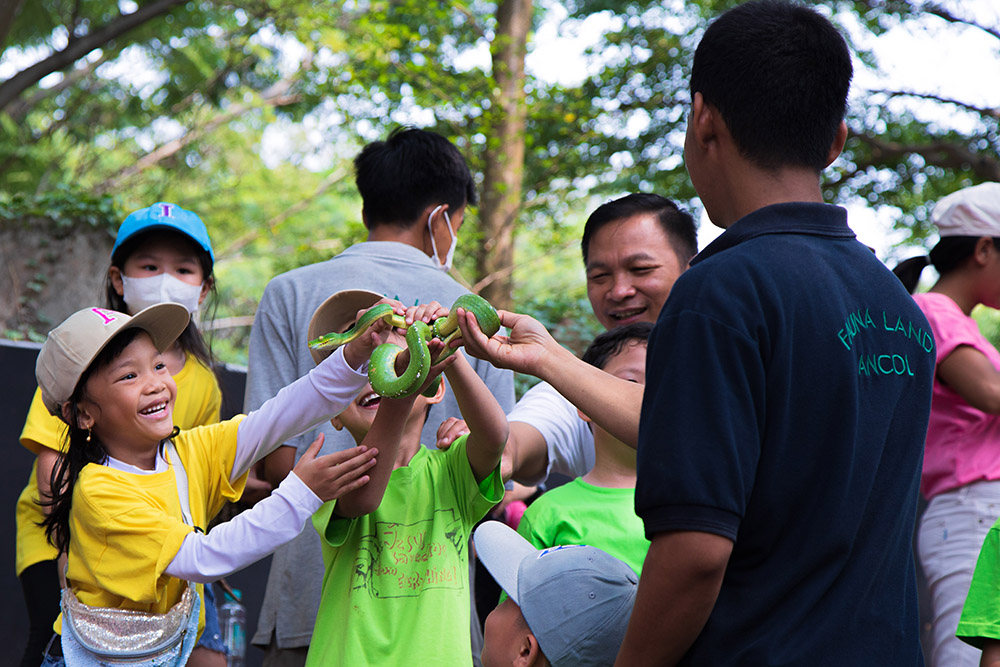 Pengenalan Satwa Usia Dini