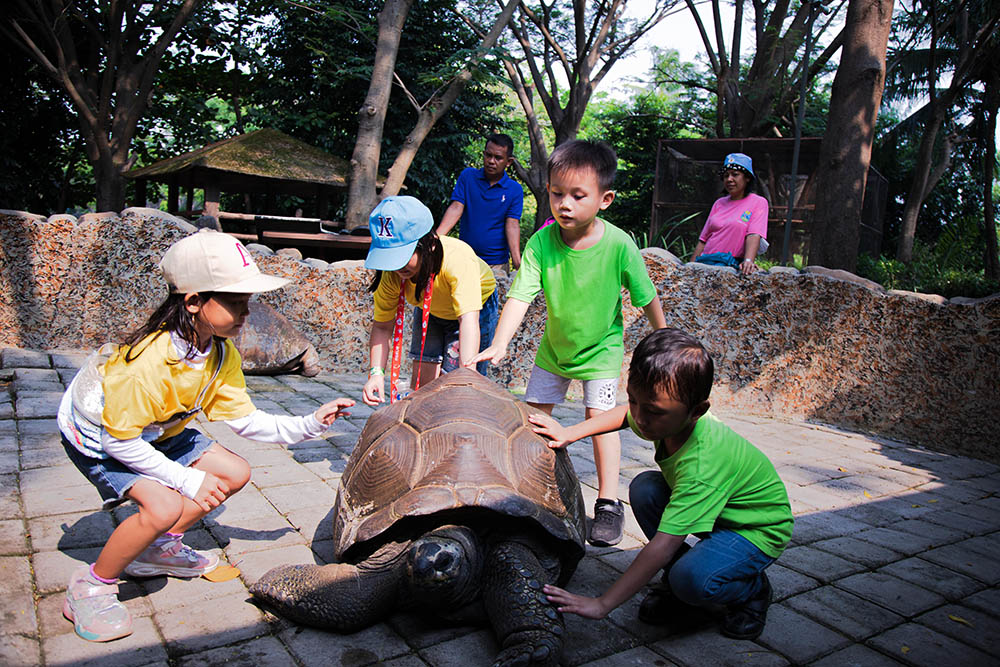 Pengenalan Satwa Usia Dini