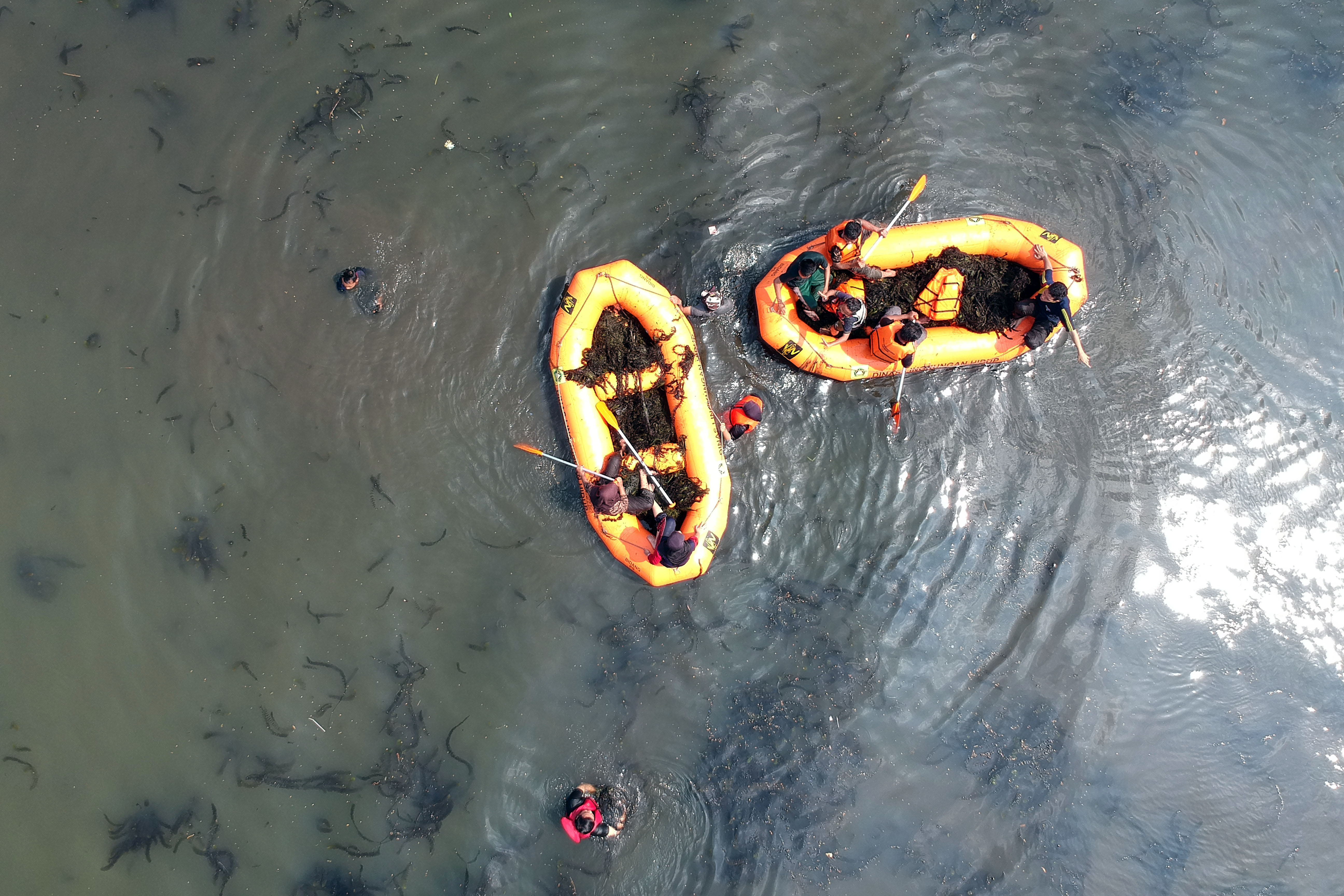 Aksi Bersih Situ di Bogor