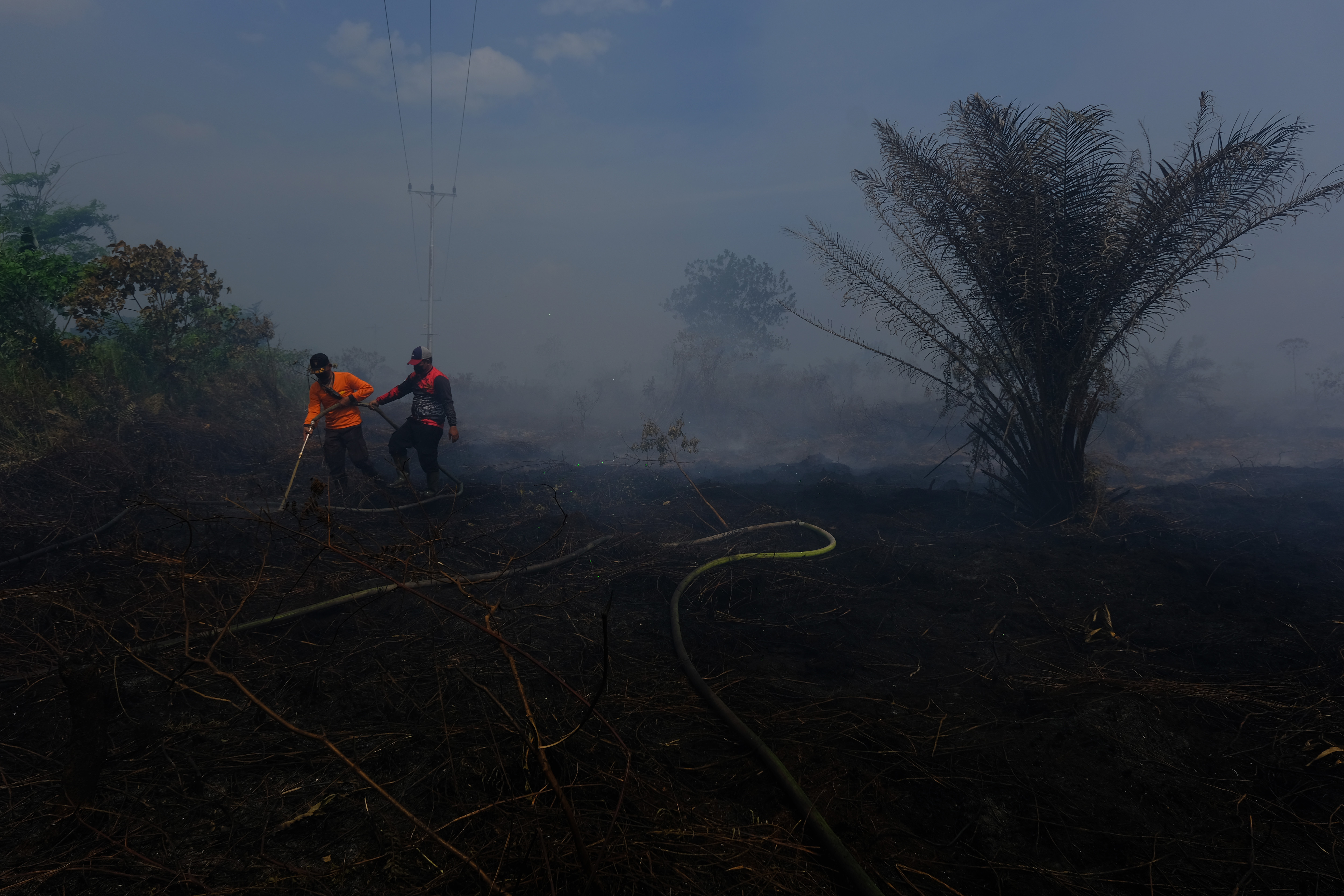 Kebakaran Lahan Gambut di Kubu Raya