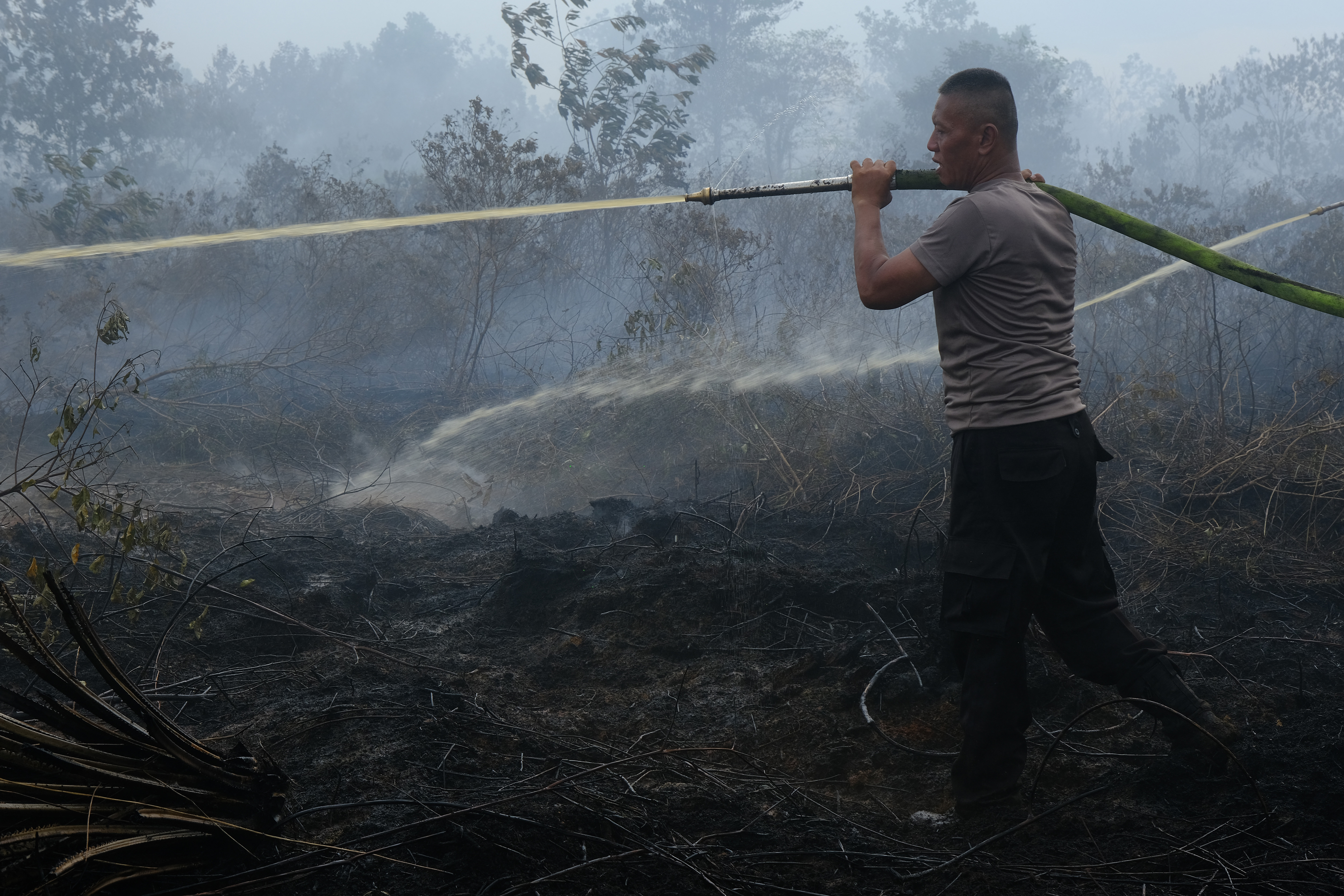Kebakaran Lahan Gambut di Kubu Raya