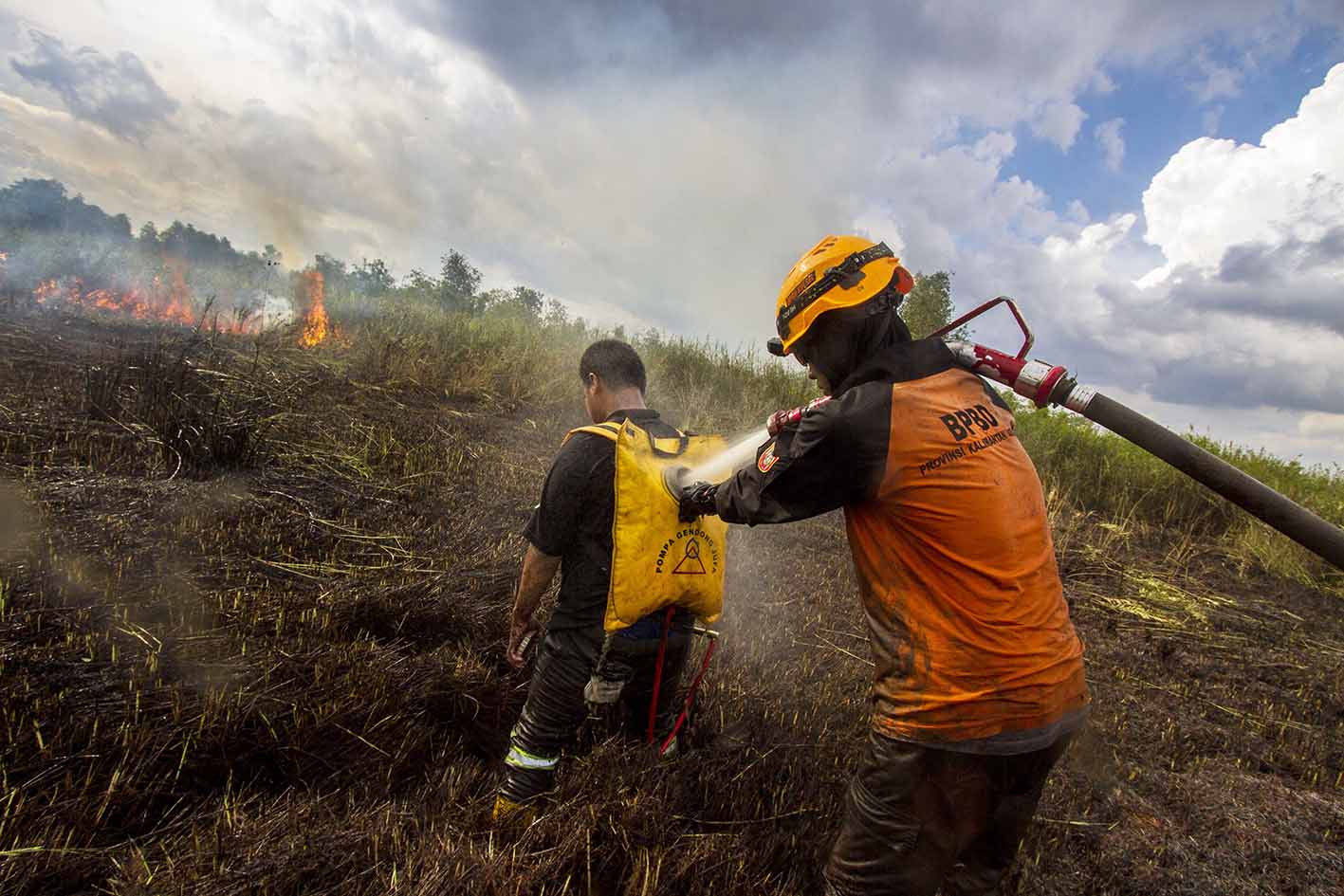 Kebakaran Hutan dan Lahan di Kalimantan Selatan Meluas