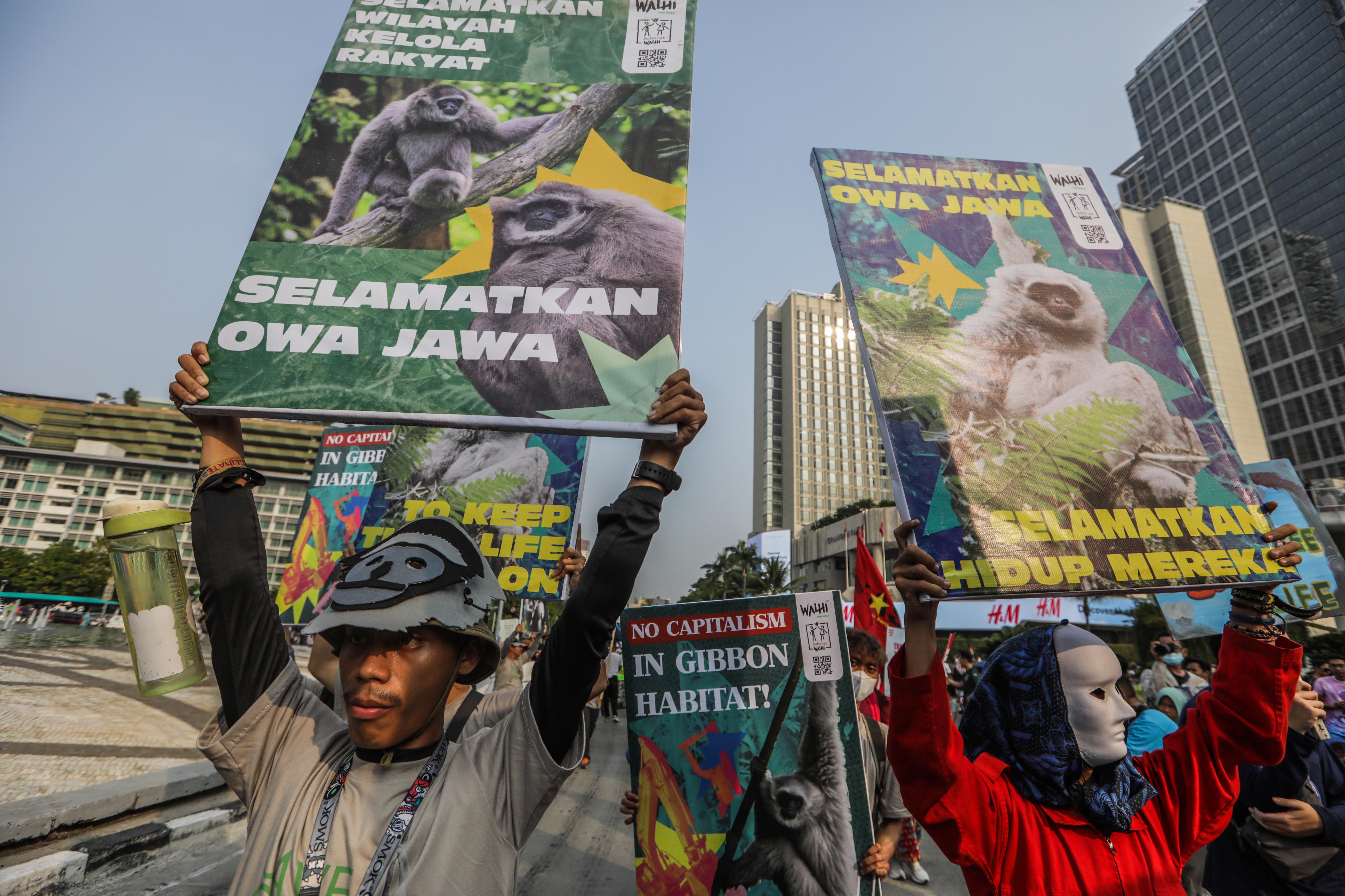 Memulihkan Krisis Iklim