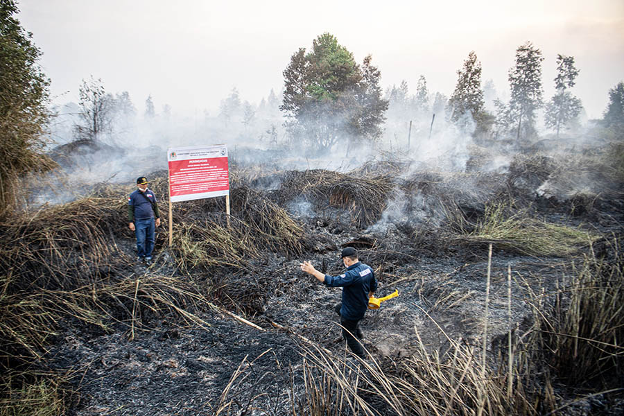 Penyegelan Lahan Terbakar di OKI Sumatra Selatan
