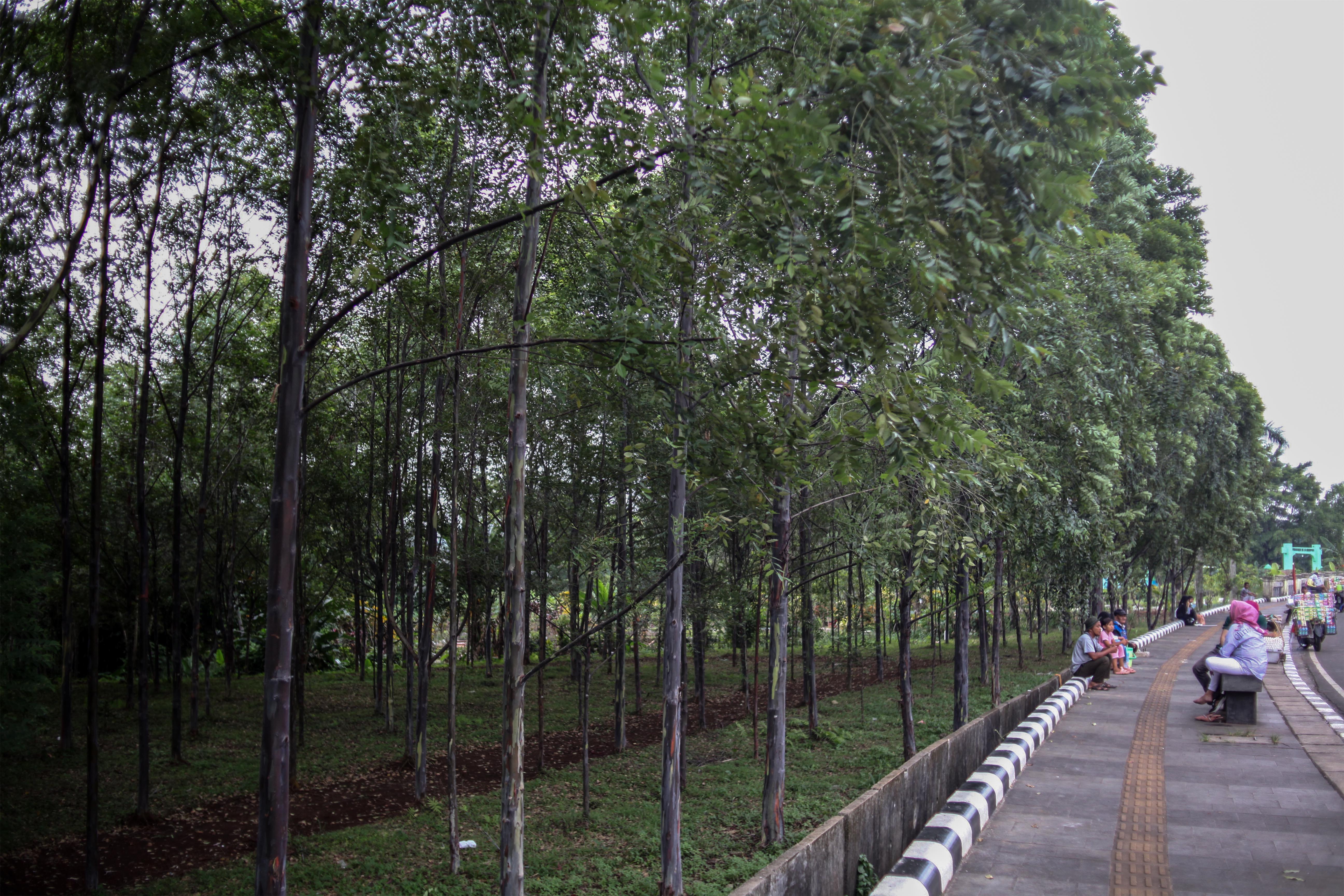 Hutan Kota di Kabupaten Bogor