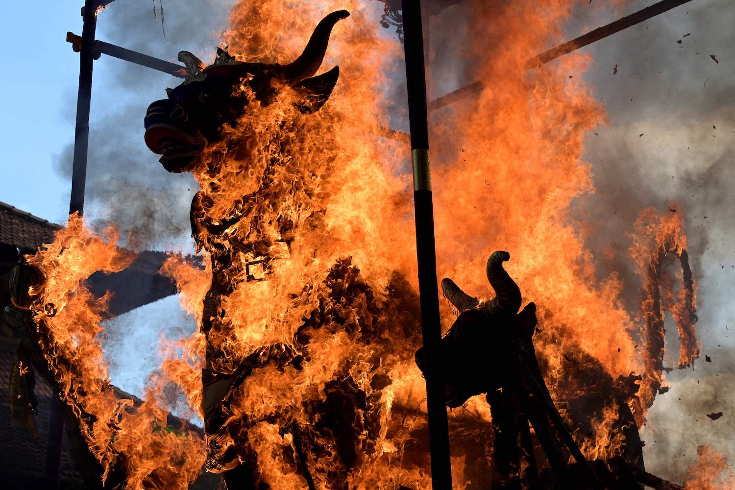 Ribuan Warga dan  Wisatawan Menyaksikan Upacara Ngaben di Bali