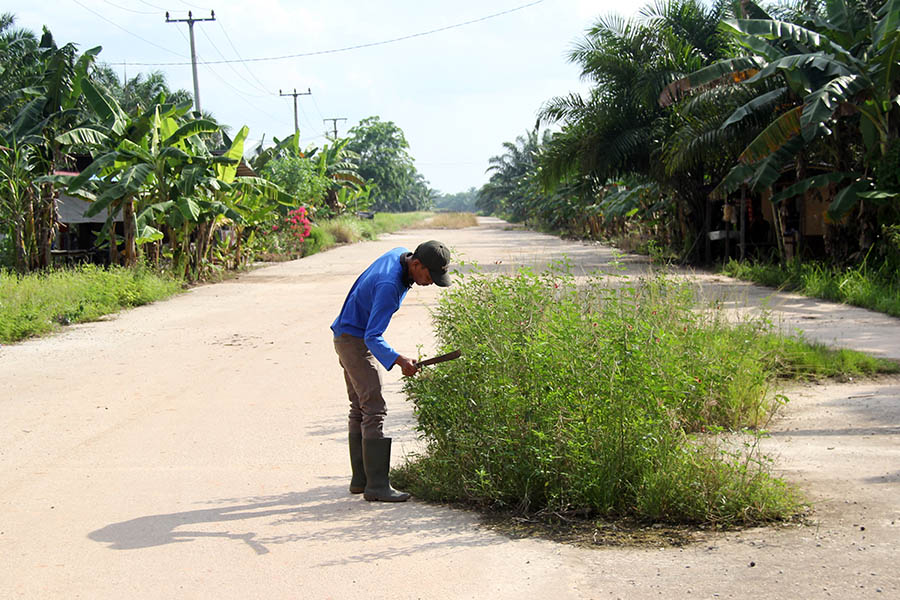Proyek Jalan Lingkar Kawasan Berikat Dumai Terbengkalai 