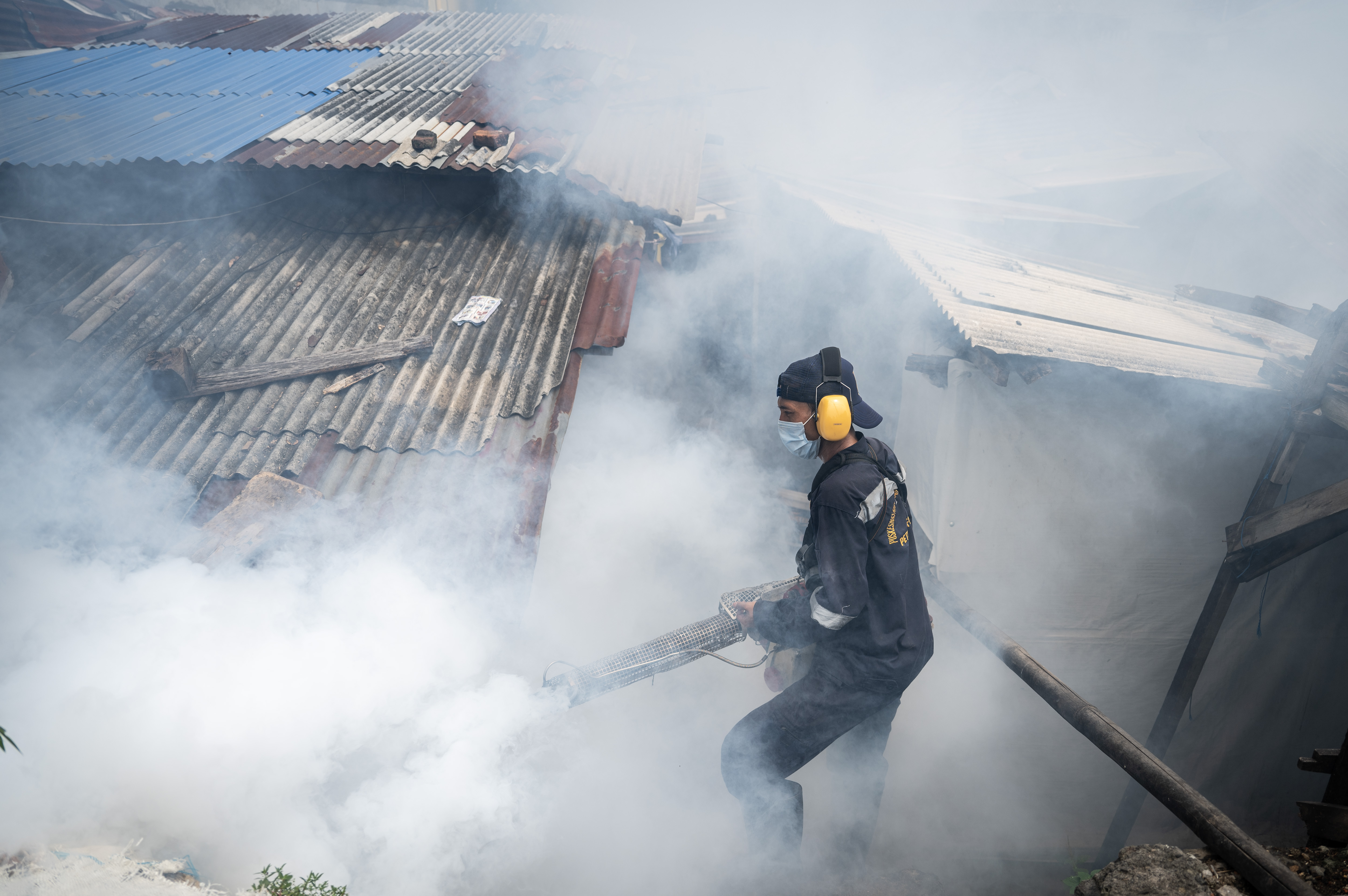 Pengasapan Antisipasi Wabah DBD di Jakarta